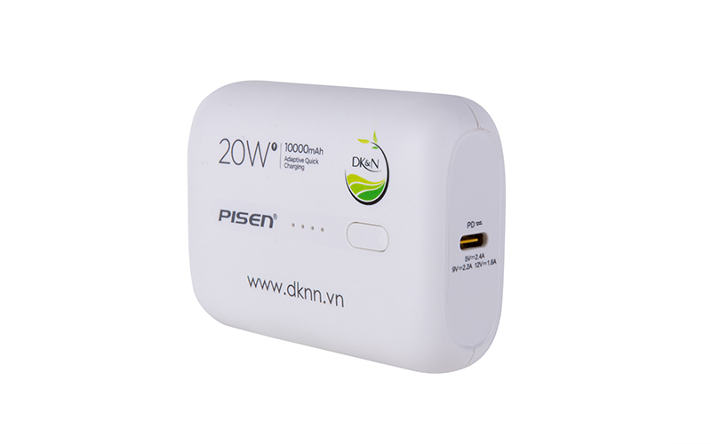 PISEN Powerbank